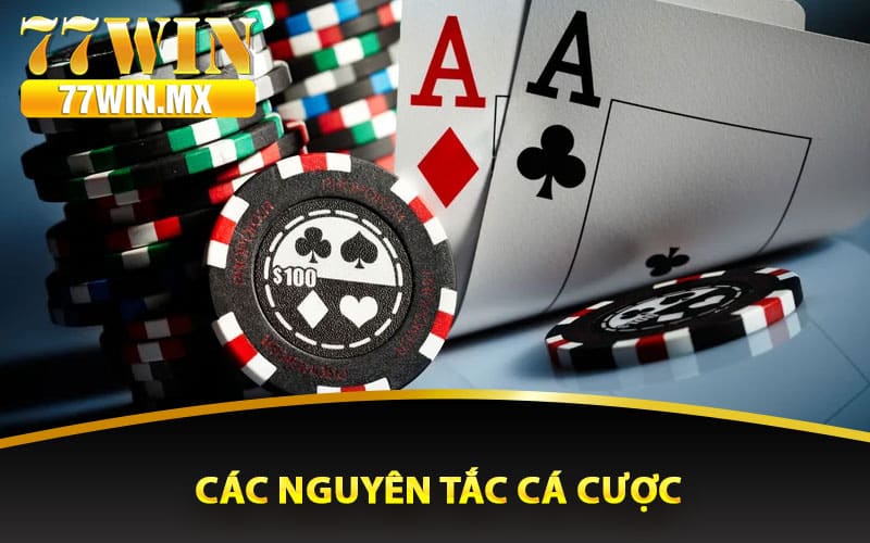 Các nguyên tắc cá cược